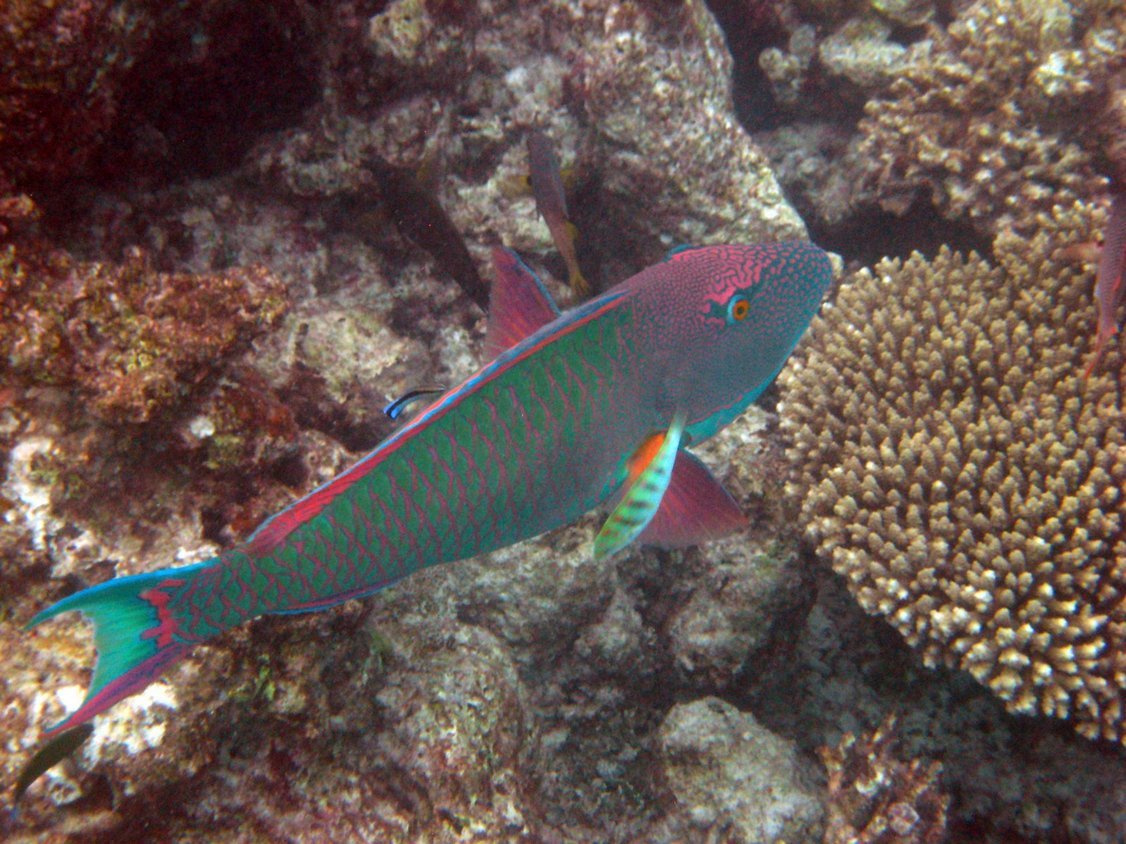 Photo00140